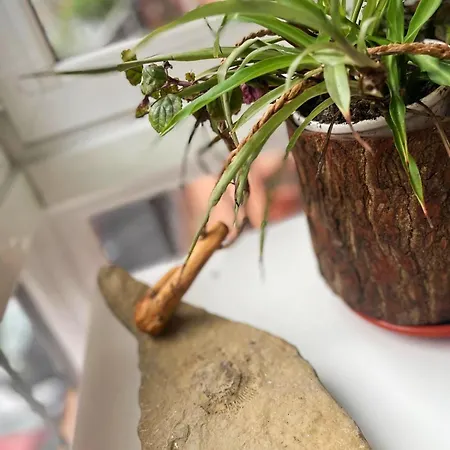 Loaina Бильбао