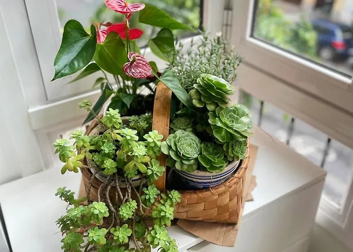 Apartmán Loaina Bilbao