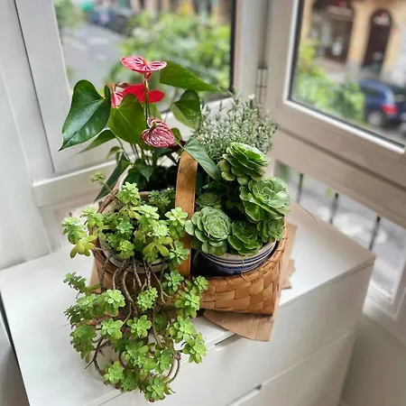 Apartment Loaina Bilbao
