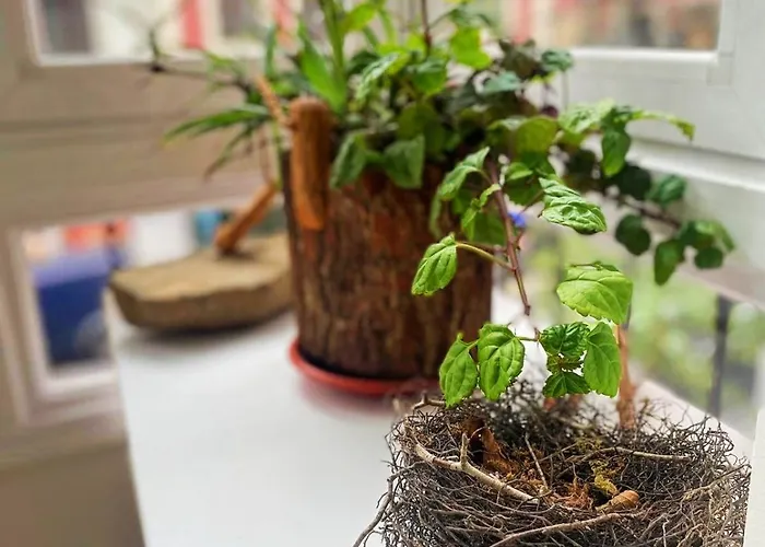 Апартаменти Loaina Більбао